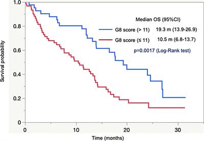 Clinical utility of geriatric assessment tools in older patients with gastrointestinal cancer